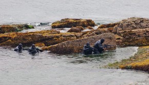 Navy SEAL photo downloads